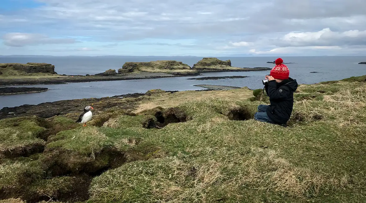 Ein kleiner Junge beobachtet mit einem Fernglas Papageientaucher auf einem Küstenstreifen am Meer